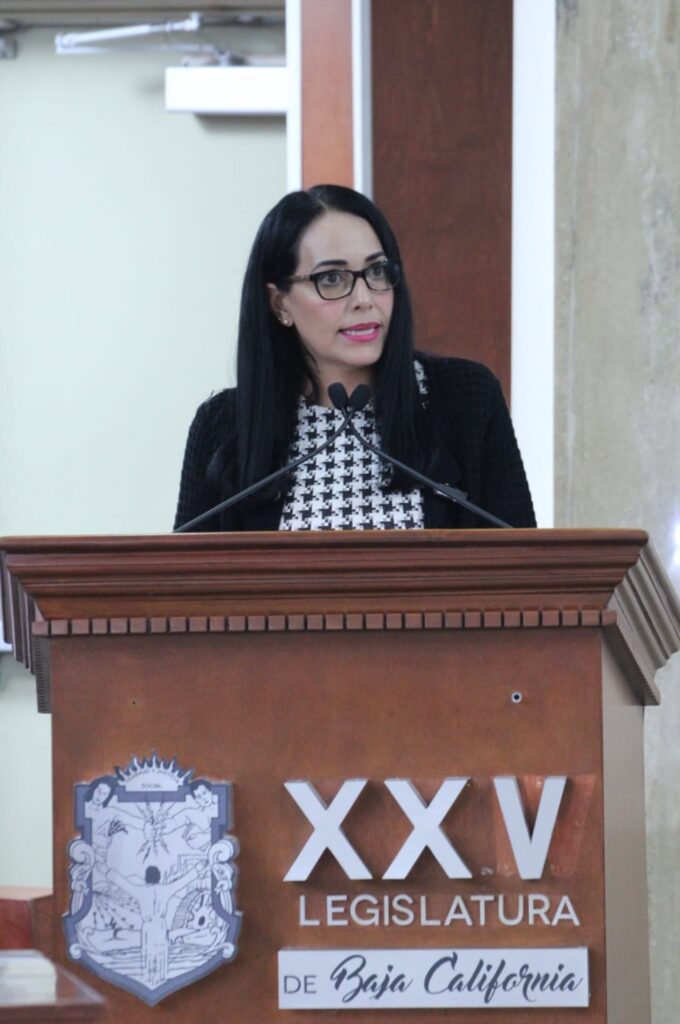 Crisis de rentabilidad del algodón empuja a productores a dejar de sembrar: Dip. Mayola Gaona