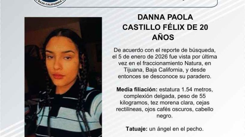 Pesquisa de Danna Paola Castillo Félix de 20 años de edad