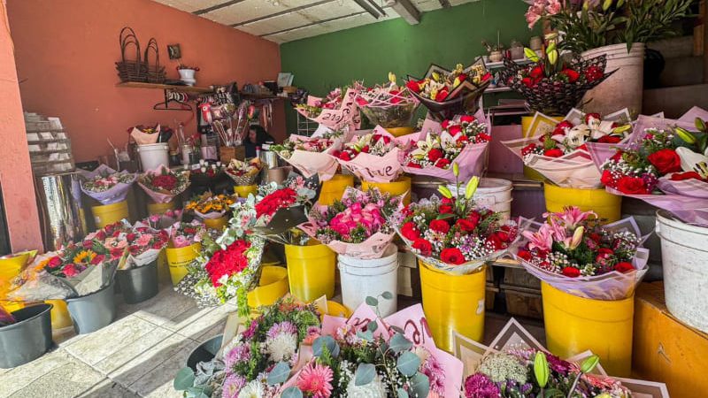 Floristas reportan aumento en ventas durante el fin de semana del Día del Amor y la Amistad