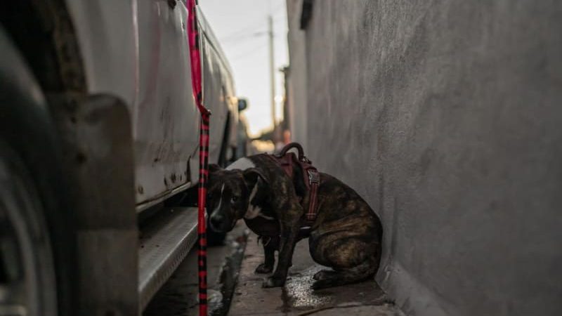 Incendio consume tres casas en Ciudad Jardín