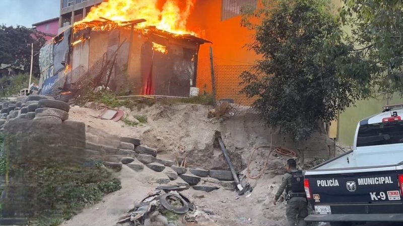 Rescata Unidad de Operaciones Caninas a dos perros durante incendio