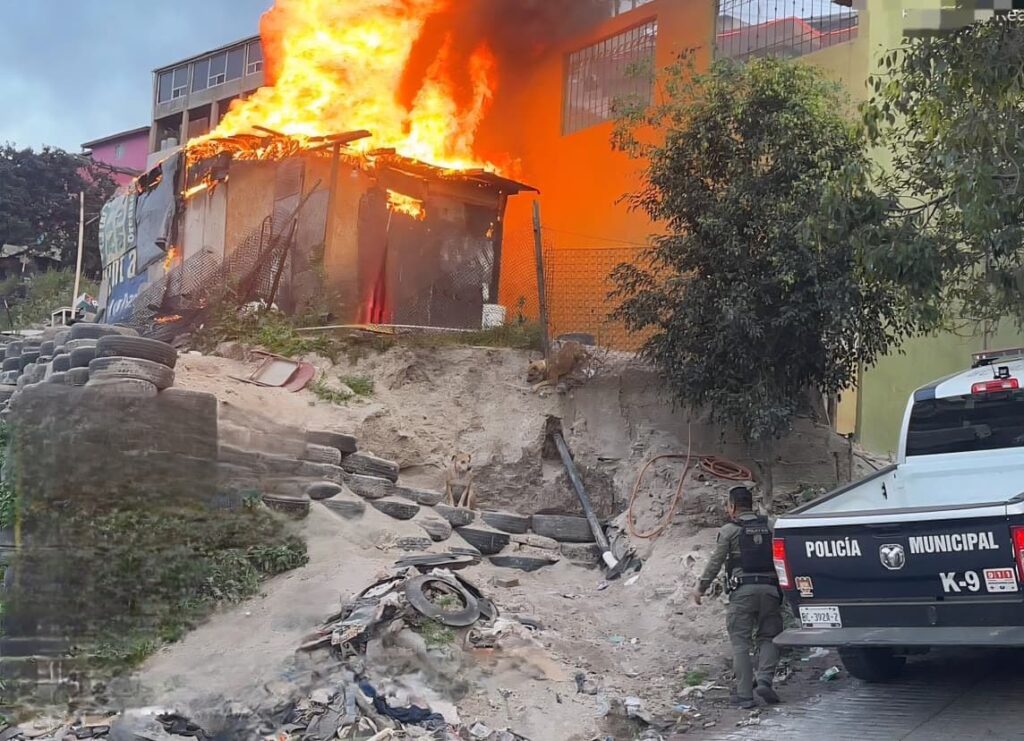 Rescata Unidad de Operaciones Caninas a dos perros durante incendio