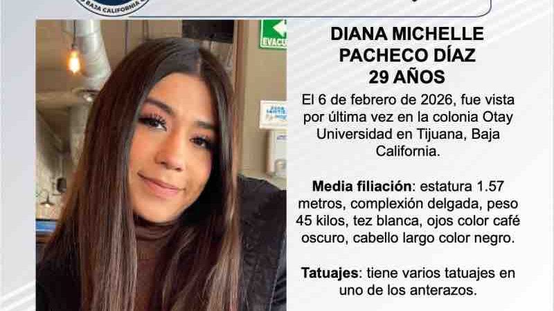 Pesquisa de Diana Michelle Pacheco Díaz de 29 años