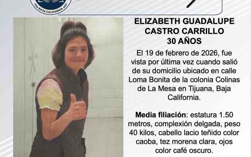 Pesquisa de Elizabeth Guadalupe Castro Carrillo de 30 años