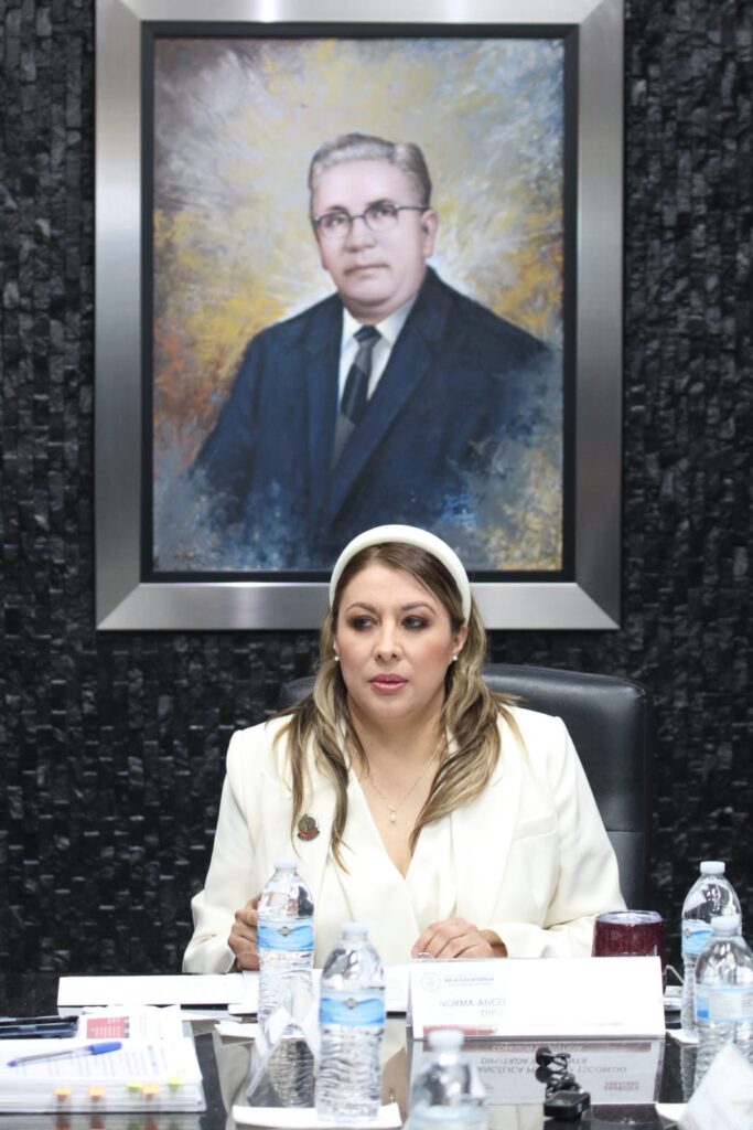 Aprueban diversas iniciativas en Comisión de Justicia que preside la diputada Angélica Peñaloza