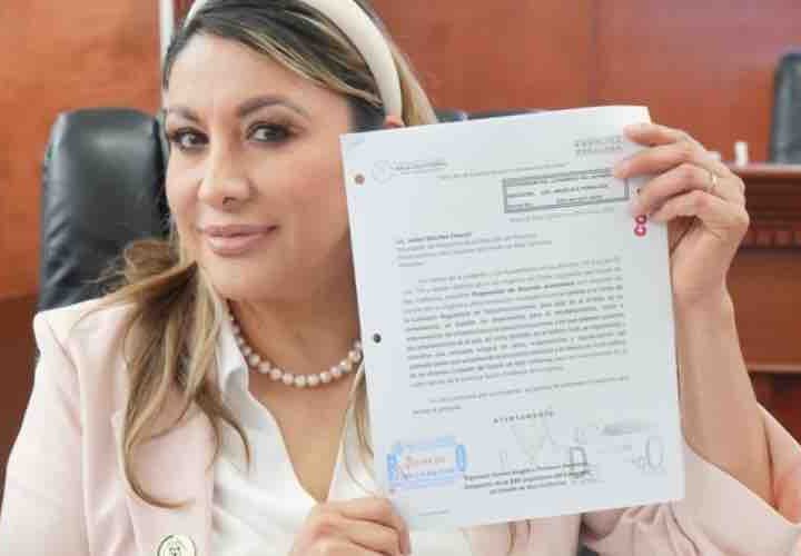 Proponen Dip. Peñaloza identificación, retiro y correcta disposición del cableado de desuso