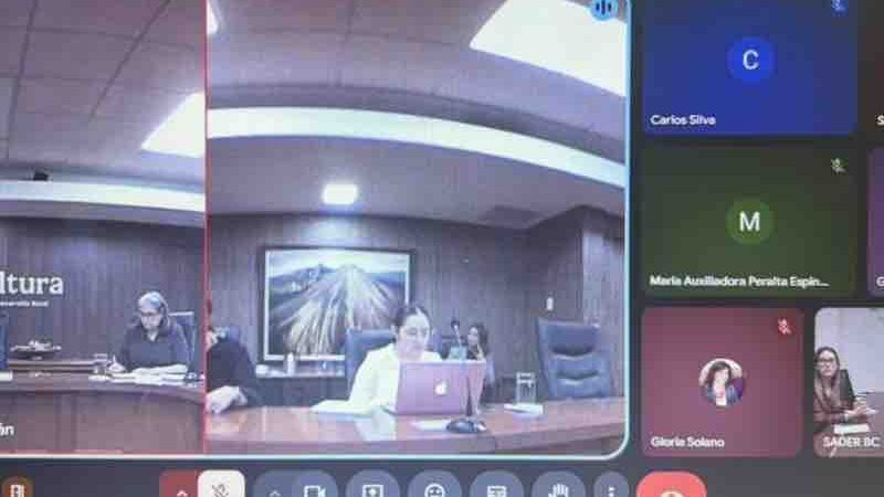 Fortalece SADER BC coordinación con federación para impulsar el desarrollo del sector agrícola