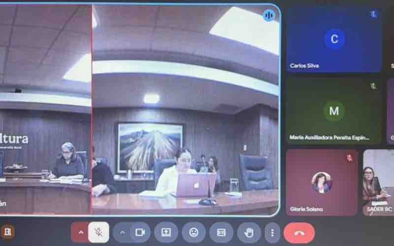 Fortalece SADER BC coordinación con federación para impulsar el desarrollo del sector agrícola