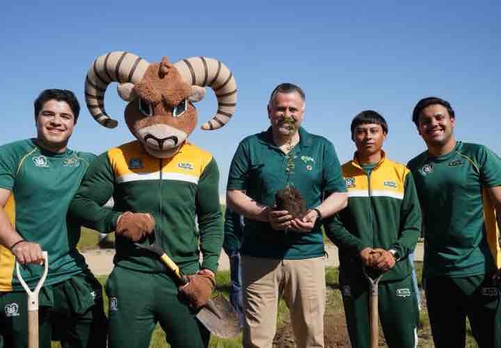 Paleta verde, estrategia institucional de la UABC para la gestión sustentable de áreas verdes