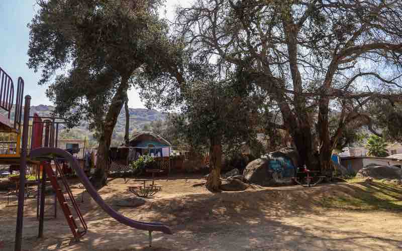 Gobierno de Tecate celebra adopción de parque en la colonia Rincón Tecate