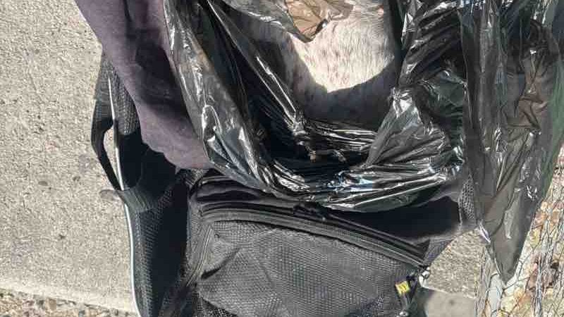 Localizan objetos sospechosos con caninos sin vida en dos puntos de Tijuana