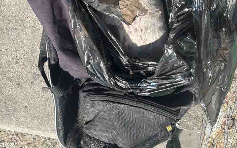 Localizan objetos sospechosos con caninos sin vida en dos puntos de Tijuana