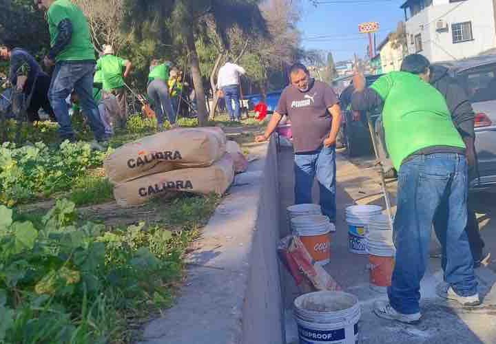 Invita Rodrigo Otáñez a preservar áreas verdes ante el alto déficit en Tijuana