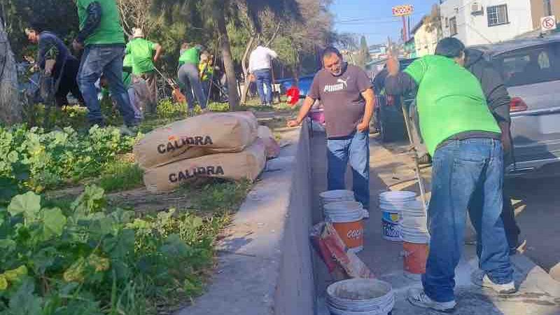 Invita Rodrigo Otáñez a preservar áreas verdes ante el alto déficit en Tijuana