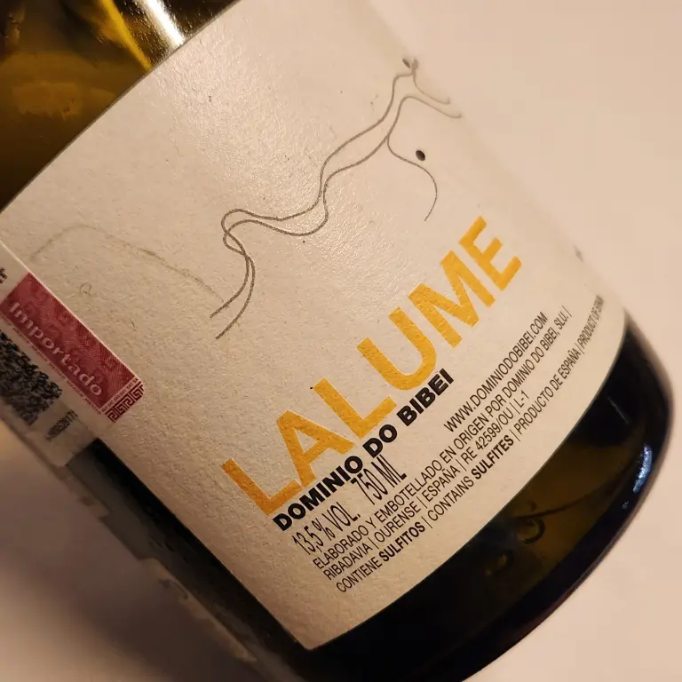 Dominio do Bibei: los vinos gallegos que rescatan variedades antiguas y conquistan nuevos paladares