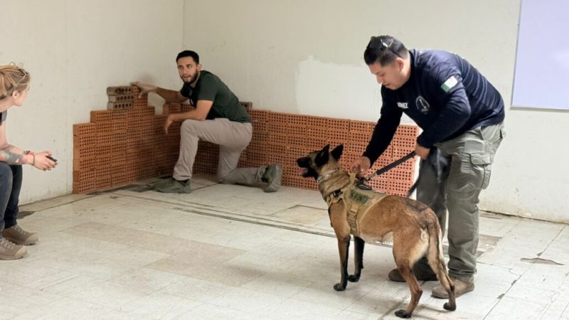 Fortalece Comisión Local de Búsqueda capacidades de sus binomios caninos en seminario especializado