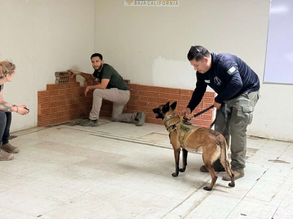 Fortalece Comisión Local de Búsqueda capacidades de sus binomios caninos en seminario especializado