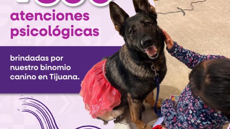 Brinda binomio canino más de 800 atenciones de acompañamiento psicólogo en CEJUM
