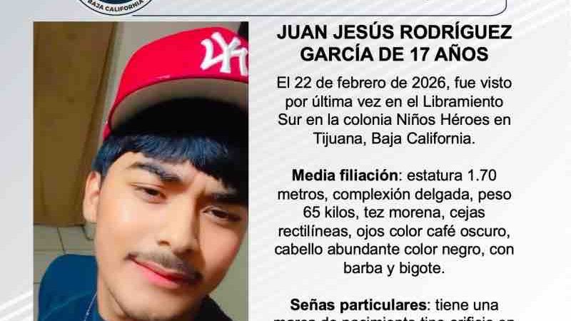 Pesquisa de Juan Jesús Rodríguez García de 17 años