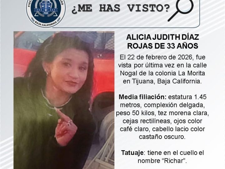 Pesquisa de Alicia Judith Díaz Rojas de 33 años