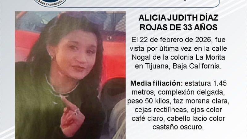 Pesquisa de Alicia Judith Díaz Rojas de 33 años