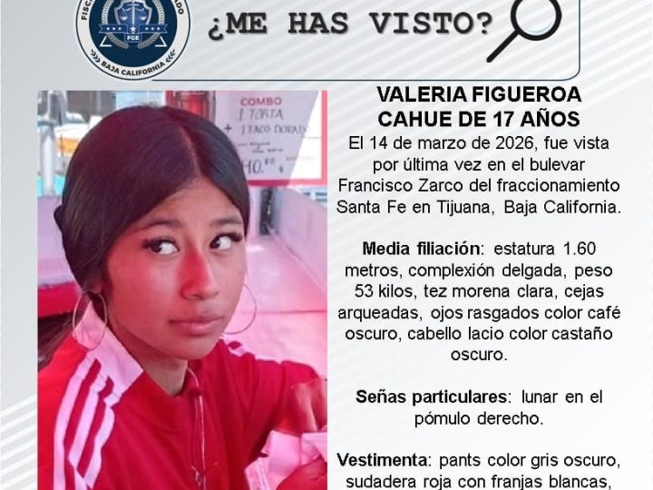 Pesquisa de Valeria Figueroa Cahue de 17 años