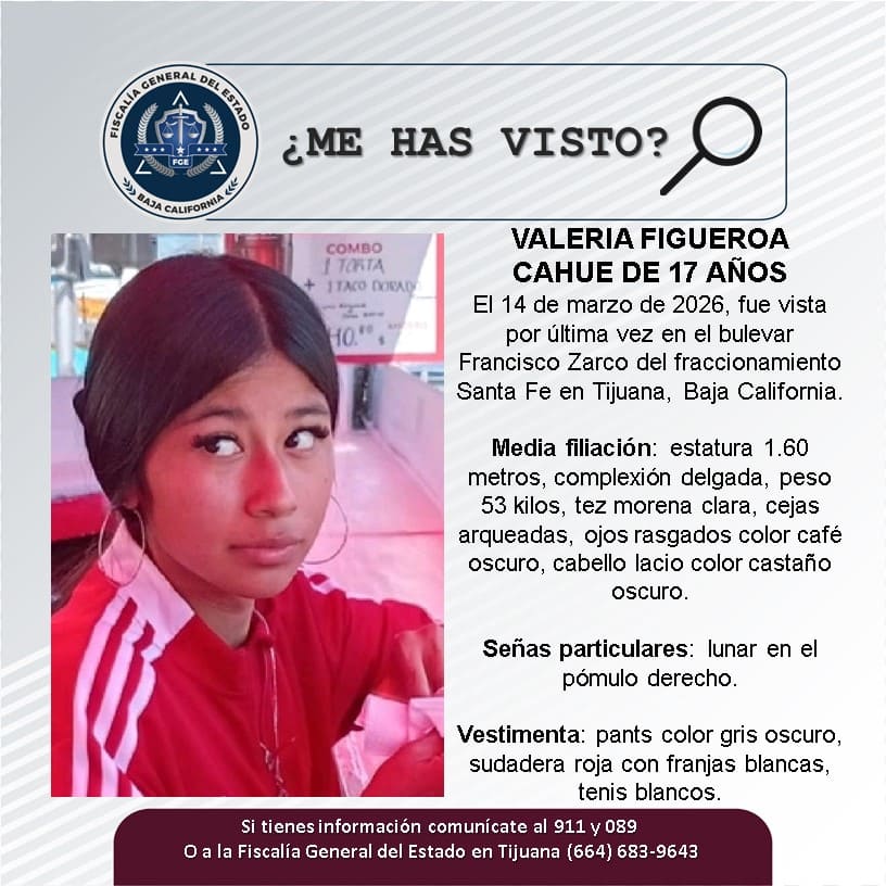 Pesquisa de Valeria Figueroa Cahue de 17 años