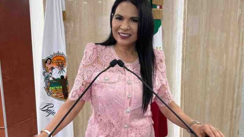 Exhorta Congreso mantener tarjeta de circulación impresa adicional a la digital en Baja California