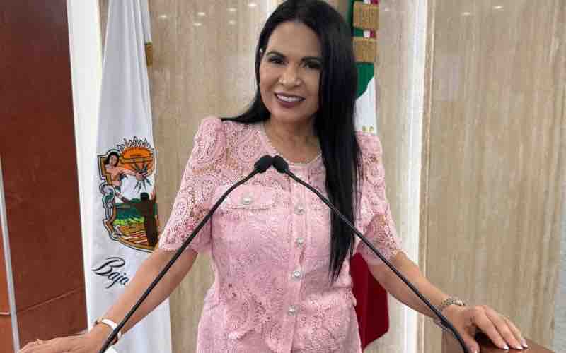 Exhorta Congreso mantener tarjeta de circulación impresa adicional a la digital en Baja California