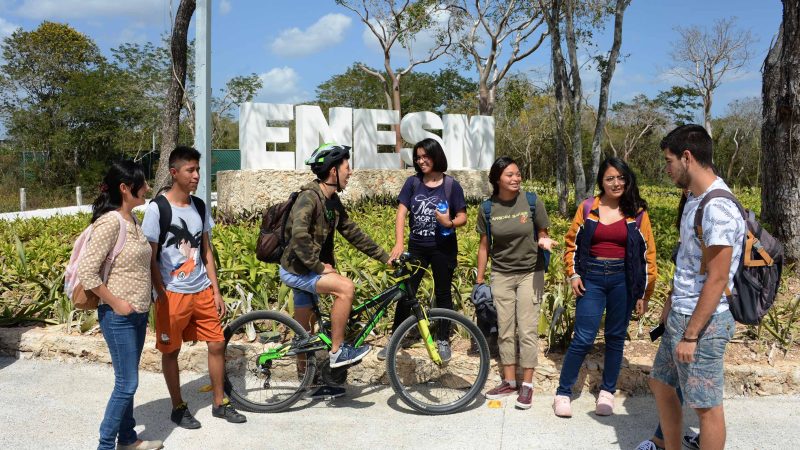 UNAM amplía convocatoria de licenciatura en 2026, tendrá más fechas de registro para 27 carreras